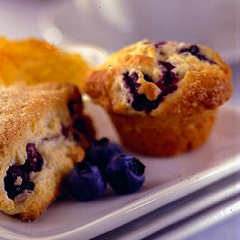 Blueberry Mini Muffins