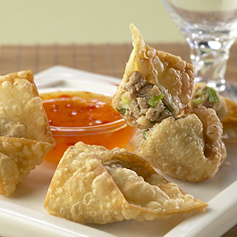 Easy Pork Won Tons