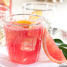 Sparkling Citrus Holiday Punch