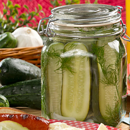 Half Sour Dill Pickles