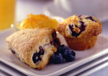 Blueberry Mini Muffins