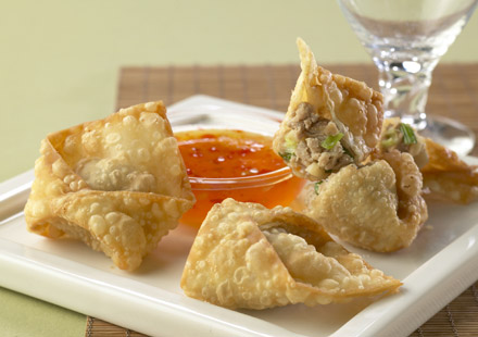 Easy Pork Won Tons